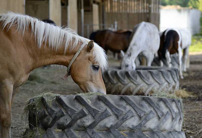 Affordable Approaches to Handle Bulky Waste Item Disposal